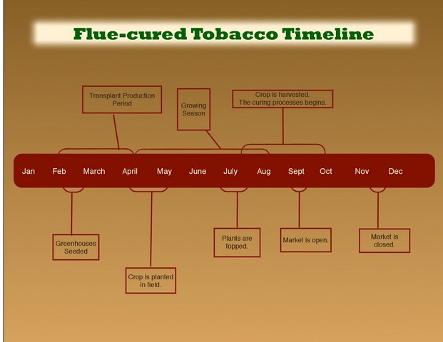 Production Timeline